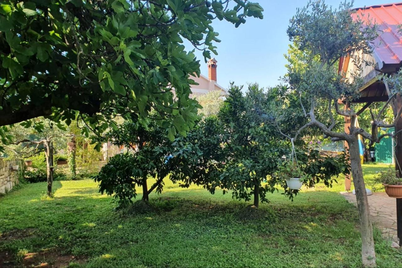 App Luka 1 - Garden For Children And Pets * Porec