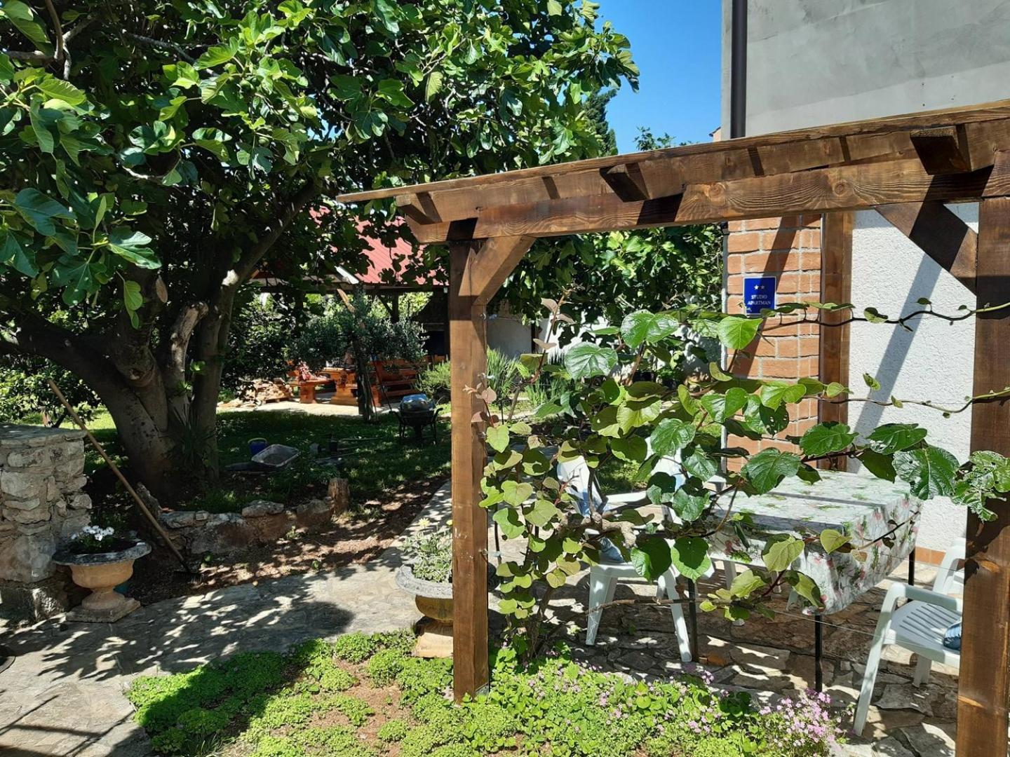 App Luka 1 - Garden For Children And Pets