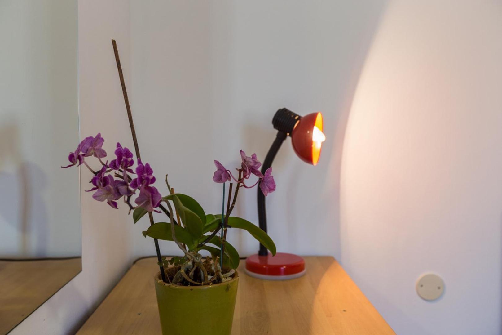 App Luka 1 - Garden For Children And Pets Porec