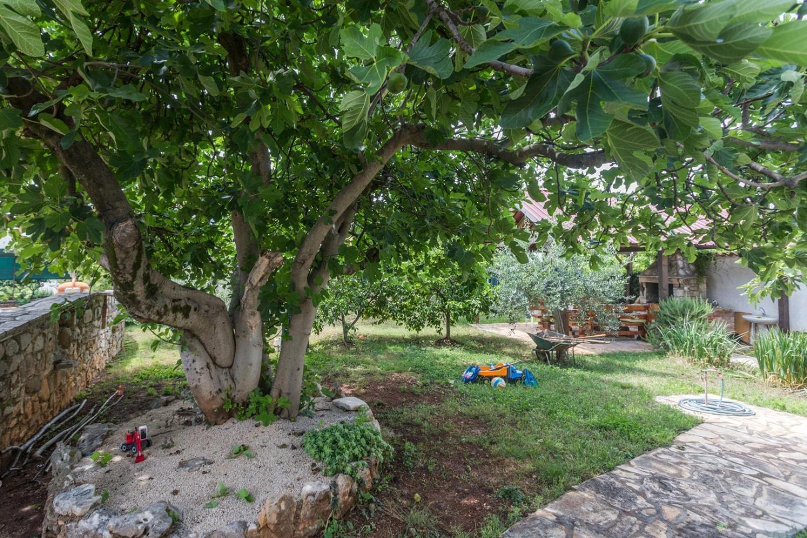 App Luka 1 - Garden For Children And Pets